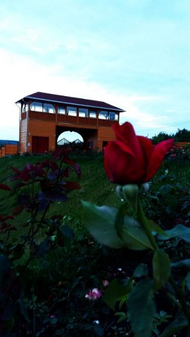 Rózsapark környezete